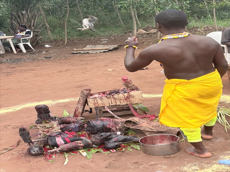 Consultation spirituelle traditionnelle au Bénin